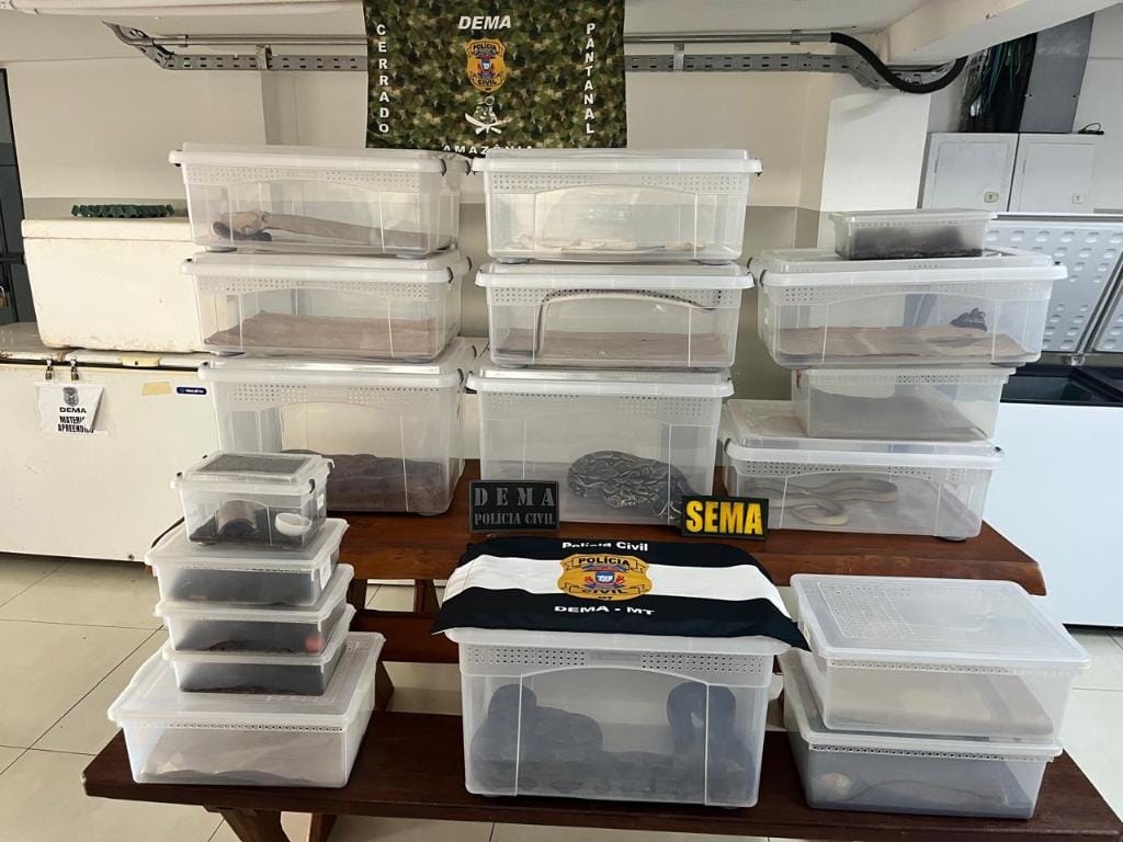 Polícia Civil deflagra operação contra criação irregular de animais silvestres e exóticos