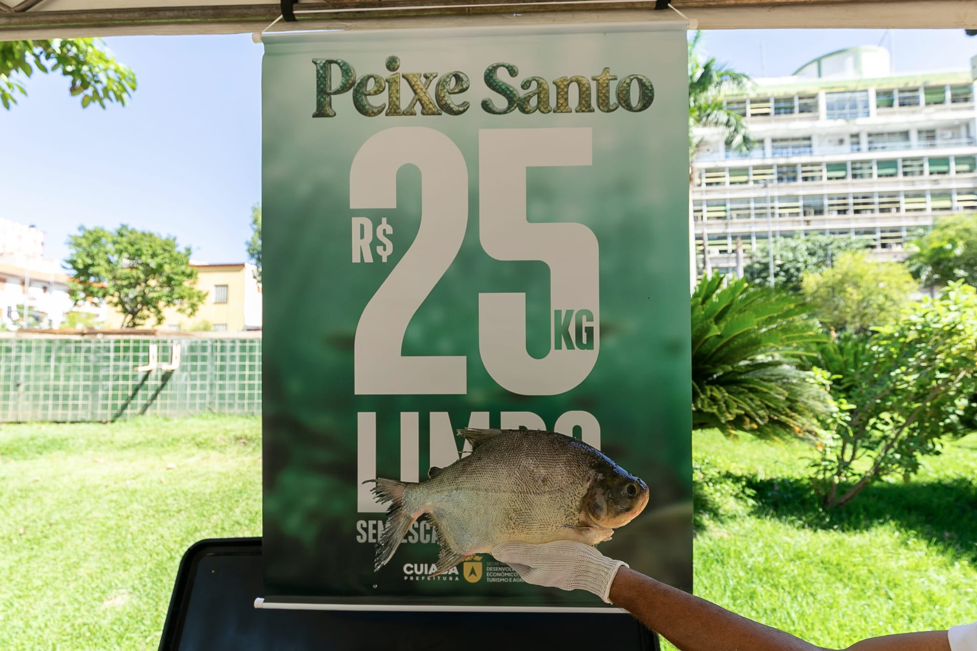 Com 45 toneladas vendidas, Peixe Santo tem estoques esgotados e forte adesão popular
