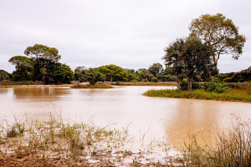 Período de defeso da Piracema será entre 1º de outubro e 31 de janeiro em MT