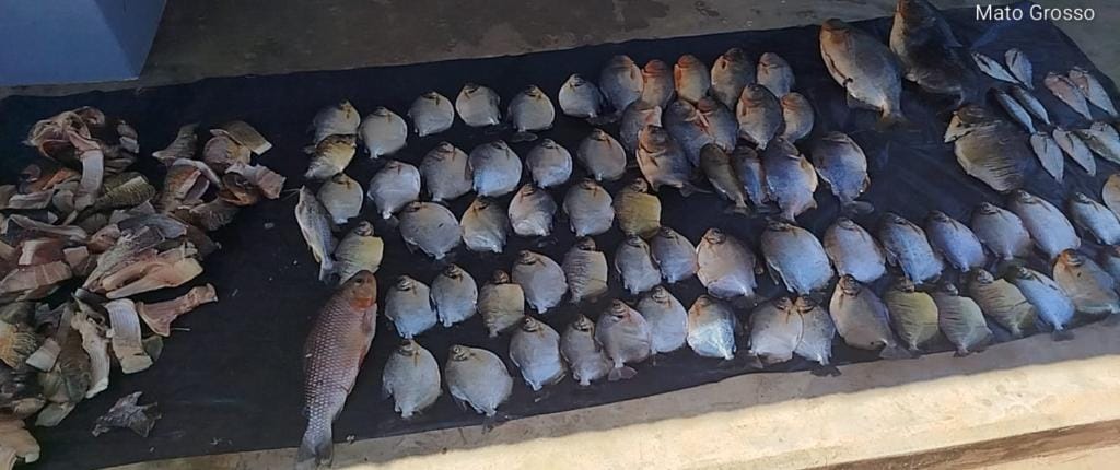 Ações da Sema contra pesca ilegal apreendem mais de 60 kg de pescado