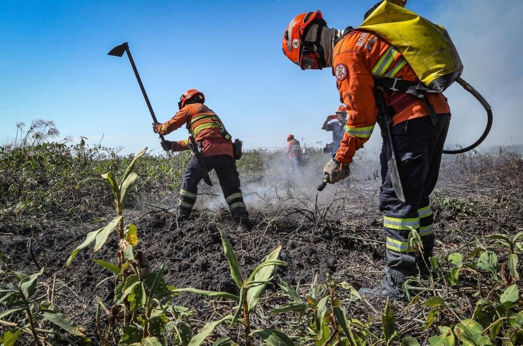 Inscrições para seletivo de brigadistas temporários termina neste sábado (20)