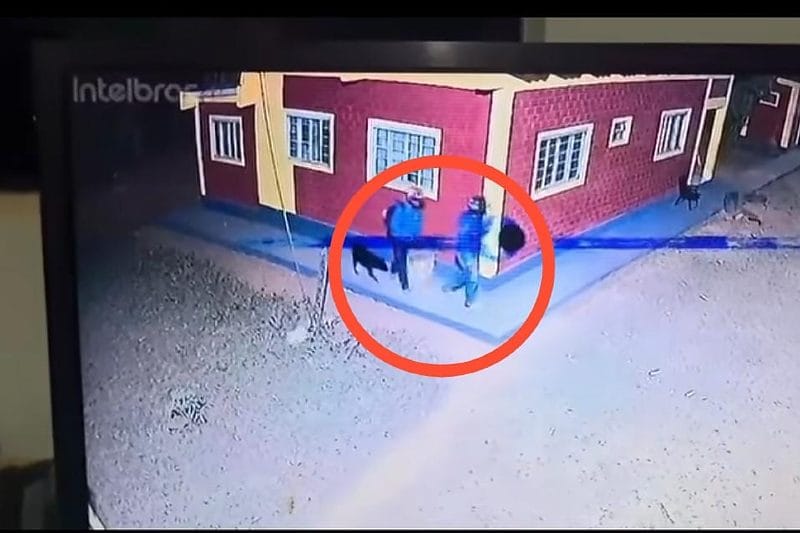 Dupla invade fazenda e usa videochamada para identificar vítima antes de execução em Guiratinga