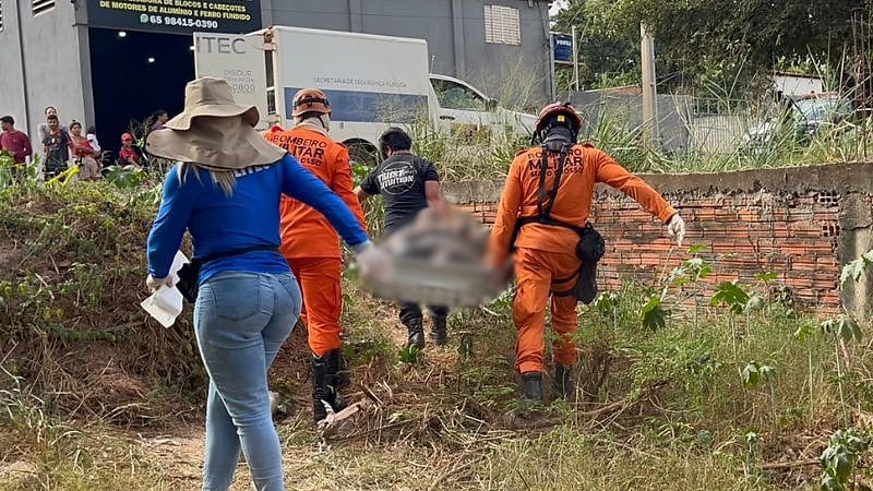 Pintor desaparecido é encontrado morto em área de mata