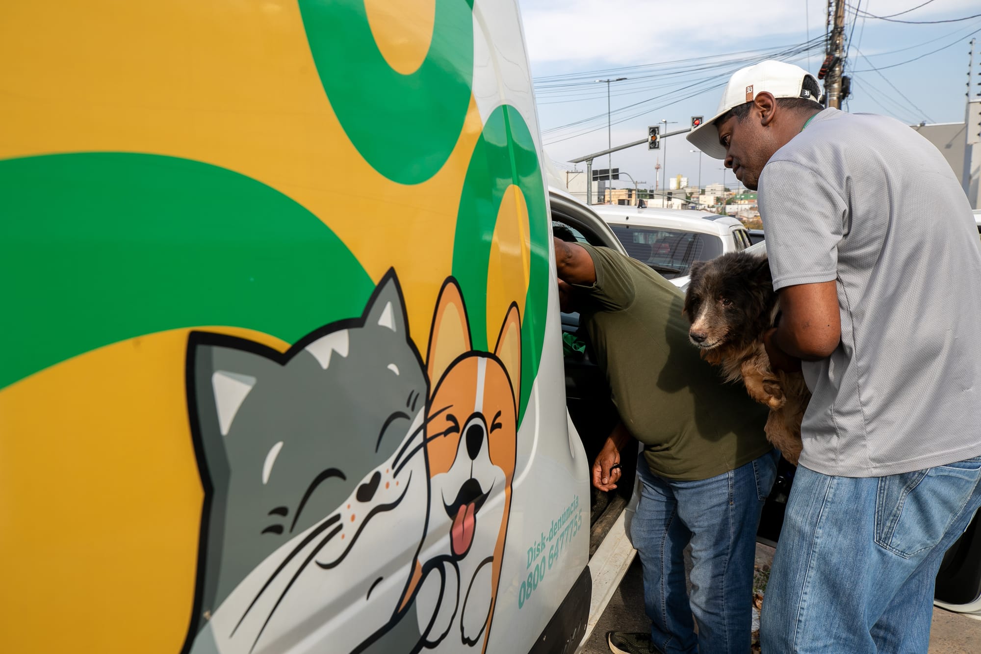 Prefeitura atende denúncia de maus-tratos e resgata animais em situação de emergência