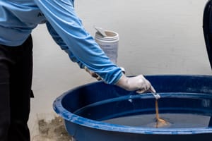 Cuiabá registra queda expressiva nos casos de dengue, chikungunya e zika em 2026