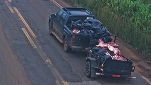 Polícia conduz 11 pessoas para a delegacia por saquear carga de carne na MT-235