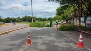 Equipes do VG em Ação avançam com mais de 40 frentes de trabalho