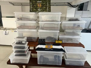 Polícia Civil deflagra operação contra criação irregular de animais silvestres e exóticos