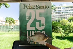 Com 45 toneladas vendidas, Peixe Santo tem estoques esgotados e forte adesão popular