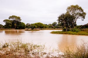 Período de defeso da Piracema será entre 1º de outubro e 31 de janeiro em MT
