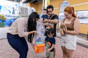 Feira de adoção da Bem Estar Animal encaminha pets para novos lares em Cuiabá