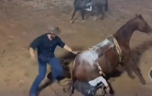 Égua derruba peão e senta sobre ele durante rodeio no interior MT
