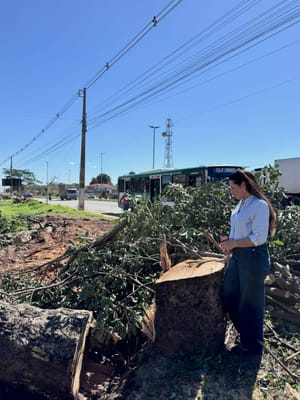 Vereadora questiona derrubada de árvores e quer suspensão de novos cortes