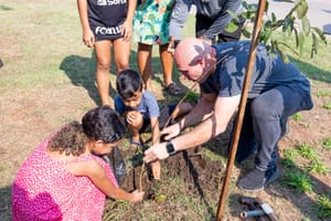 Prefeitura de Cuiabá planta mil árvores em uma semana com campanha de arborização