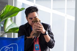 Feira de adoção disponibiliza 19 cães adultos e filhotes nesta sexta-feira