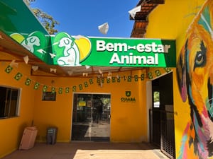 Prefeitura transferirá CCZ e transformará área em Complexo de Bem Estar Animal