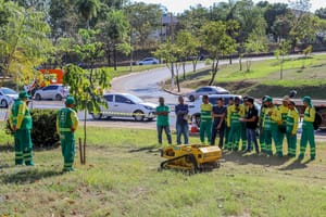 Limpurb capacita servidores para operar robôs de roçagem em Cuiabá