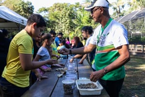 Craques da Natureza mobiliza famílias para produção de mil mudas em Cuiabá