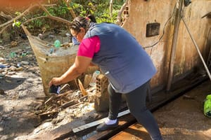 Saúde inicia retirada de armadilhas para avaliar incidência do Aedes aegypti