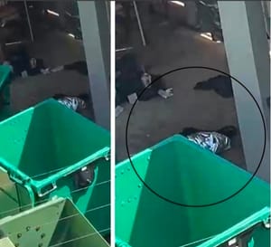 Polícia apura morte de recém-nascida encontrada em lixeira de condomínio