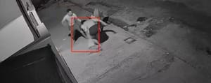 Homem agride mulher com bebê no colo e é encontrado morto com tiro na cabeça