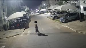 Vídeo mostra mãe jogando recém-nascida lixeira de condomínio em VG