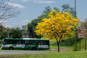 Tarifa Zero já beneficia 1,1 milhão de passageiros e recebe R$ 7 milhões