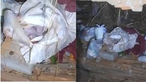 Catador encontra bebê morto dentro de sacola em terreno baldio de Cuiabá