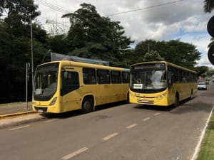 Sorriso ofertará transporte coletivo gratuito neste domingo